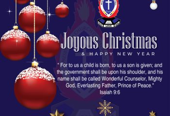 Merry Christmas & Happy New Year